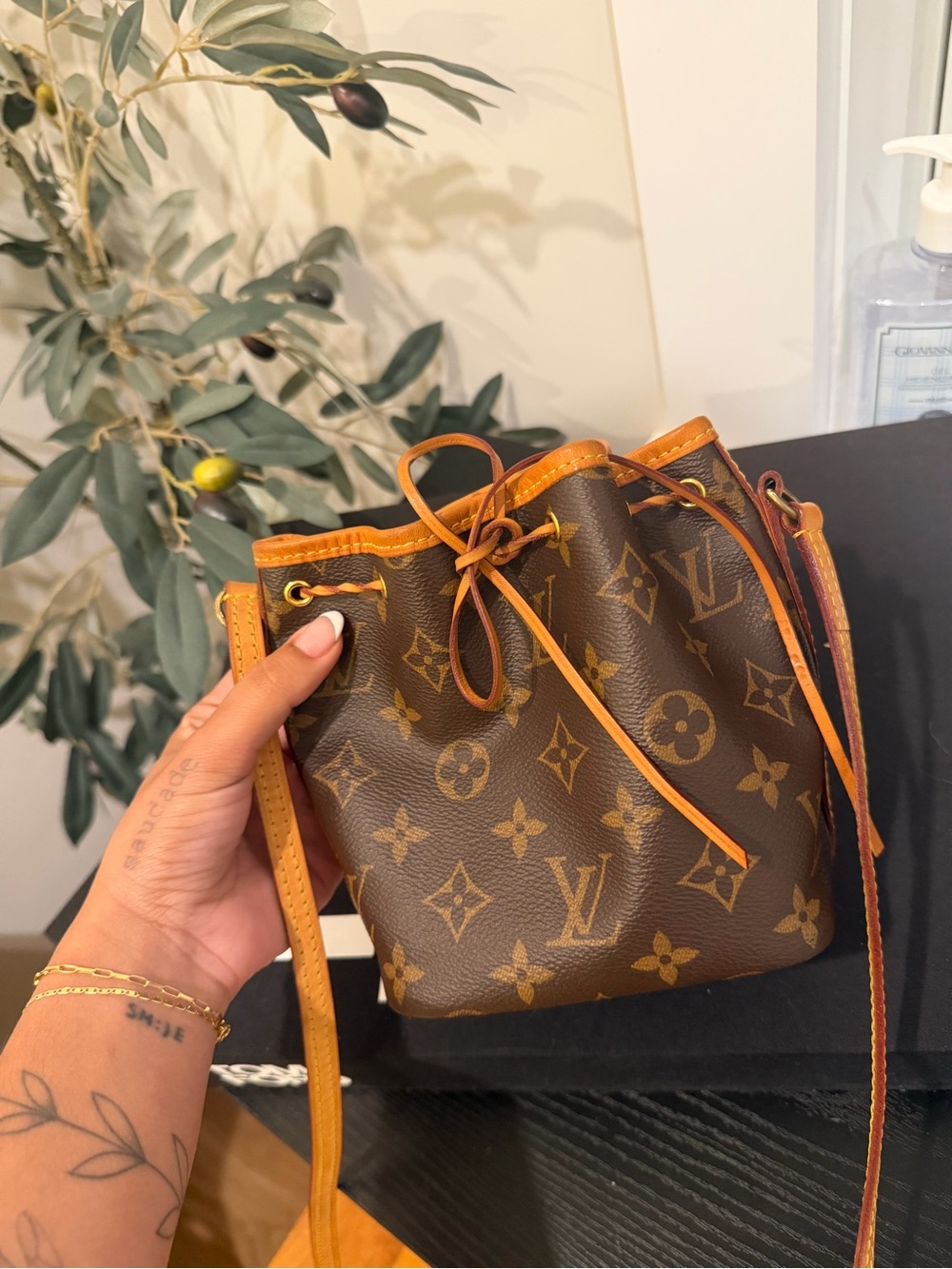 louis vuitton nano noรฉ